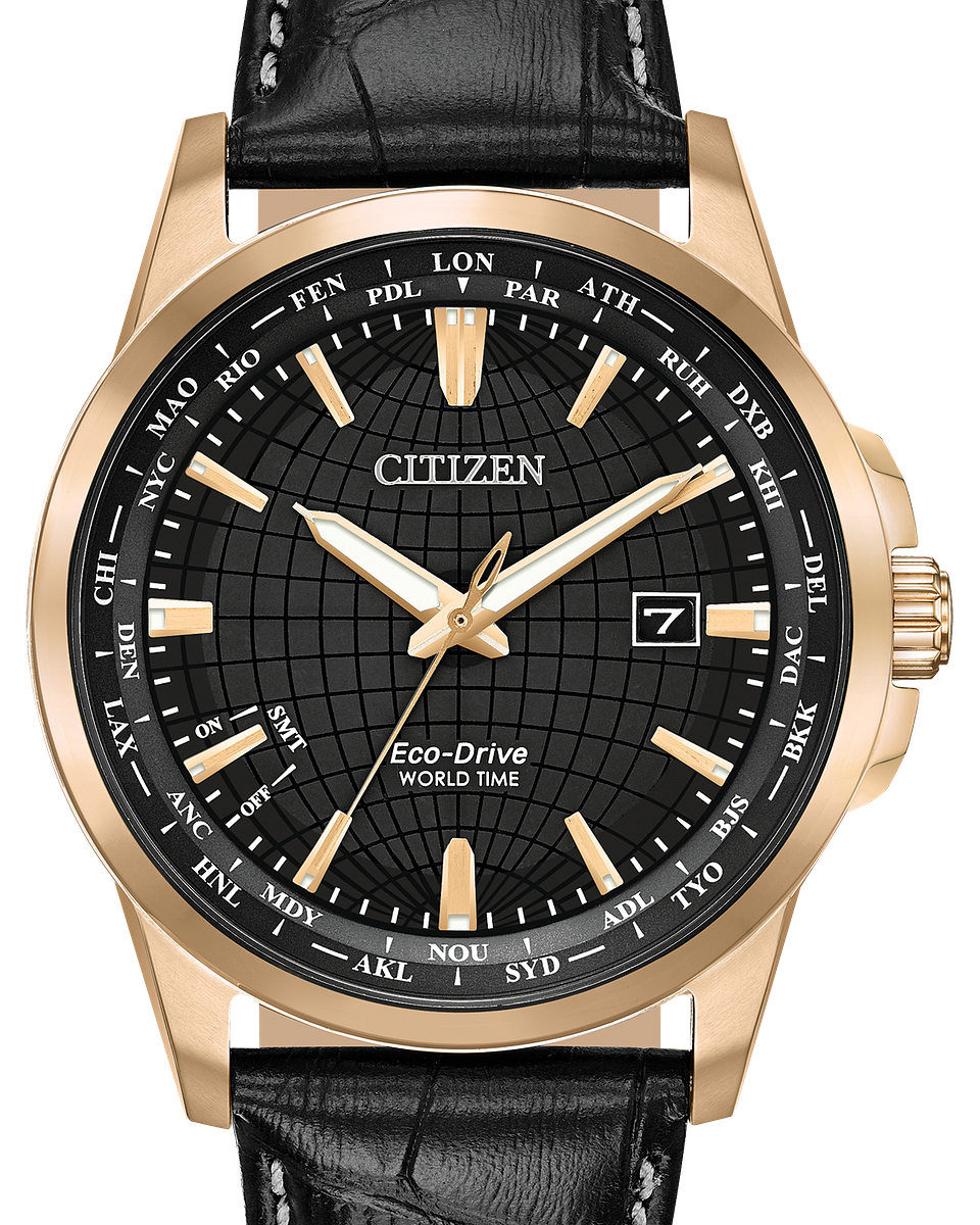 Citizen World Time Perpetual EcoDrive Black Dial Watch Citizen